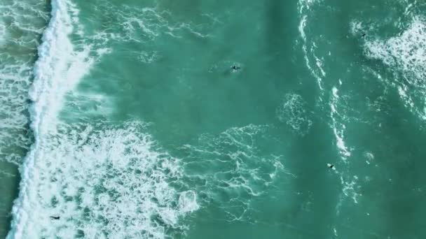 Group Surfers Trying Navigate Way Choppy Waters Birds Eye View — Vídeo de stock