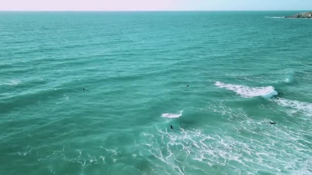 Wide Shot Surfers Swimming Tide Wide Drone Shot — Stockvideo