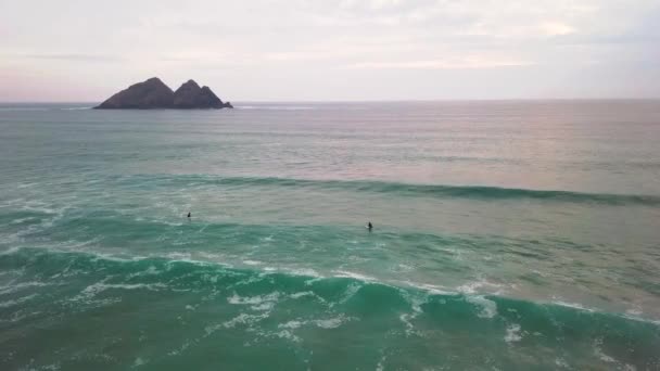 Surfer Attempts Catch Wave Drone Shot — Stock video