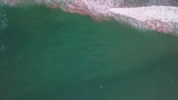 Surfers Waiting Catch Wave One Failed Attempt Birds Eye View — Stockvideo