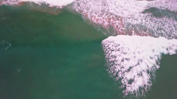 Surfer Attempts Catch Wave Fails Birds Eye View Drone Shot — Stok video