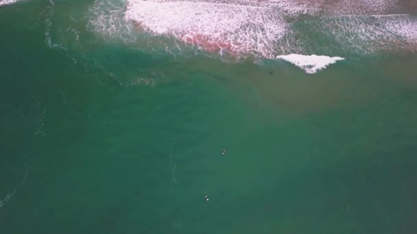 Surfers Making Way Out Back Catch Perfect Wave Birds Eye — ストック動画