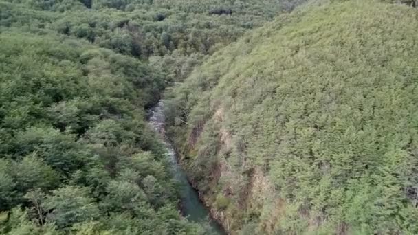 Drone Aerial Shot Forest Beautiful Mountain View — 图库视频影像