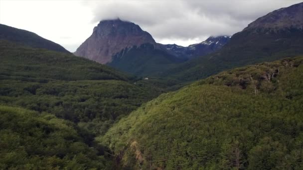 Drone Aerial Shot Forest Beautiful Mountain View — Stockvideo