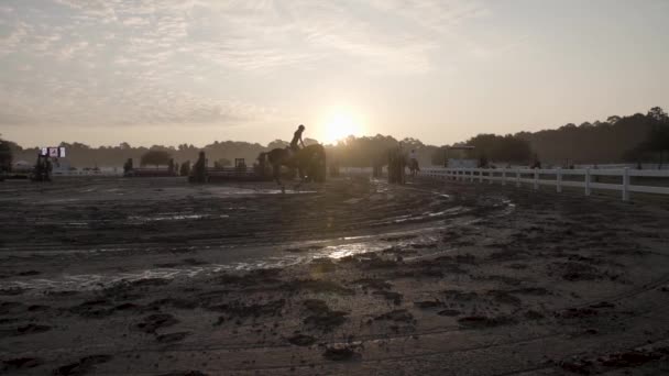 Wide Angle Shot Girl Riding Horse Sunrise Slow Motion — 图库视频影像