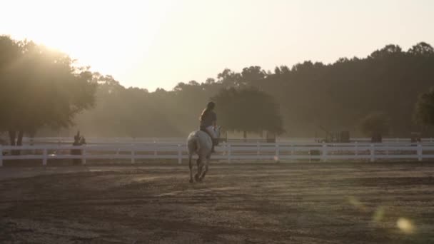 Slow Motion Wide Angle Girl Riding Horse Gallops Field Sunrise — 비디오