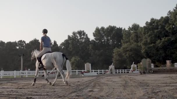 Lambat Gerak Gadis Naik Pada Kuda Putih Dengan Kembali Kamera — Stok Video