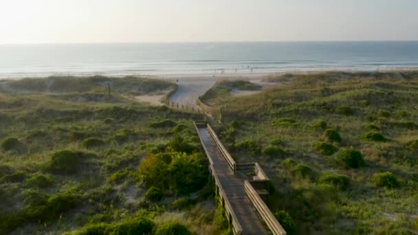 View Green Dunes Wooden Beach Access Leading Beach Sunrise People — Stockvideo