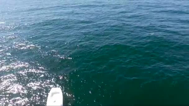 Reveal Shot Boat Driving Frame Filmed Drone Overhead — ストック動画
