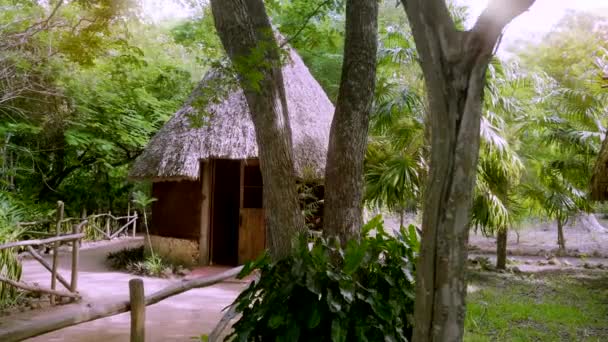 Mayan House Middle Jungle Yucatn Mexico — Vídeos de Stock