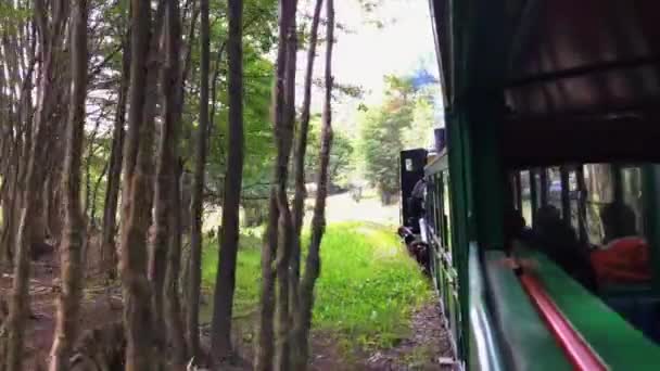 Best End World Train Ride Awesome View Taken Ushuaia Argentina — Stockvideo