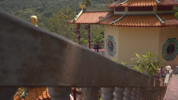 Chinese Temple Green Plants Mountain Valley — стокове відео