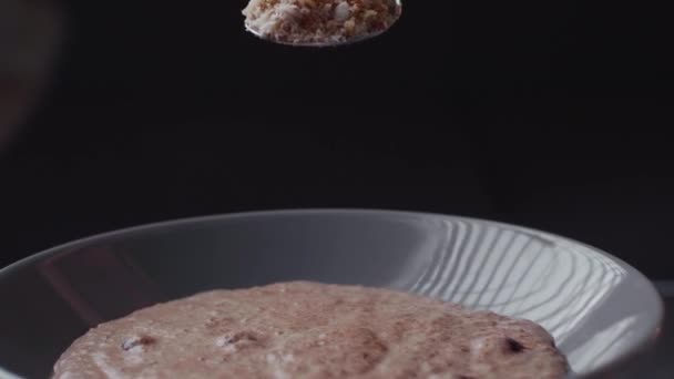 Sprinkling Nuts Paleo Vegan Chia Breakfast Porridge Made Coconut Milk — Vídeos de Stock