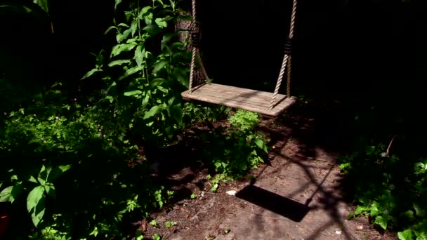 Forgotten Empty Tree Swing Gently Moving Wind Slow Motion — Stock video