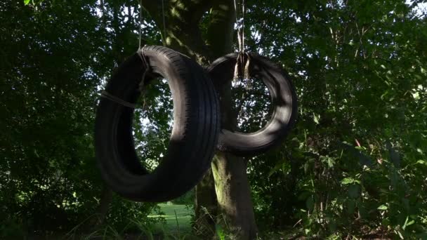 Tire Swing Rotating Wind Edge Forest — Video Stock