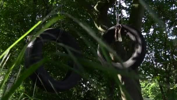 Tire Swing Gently Moving Wind Edge Forest Low Angle — Vídeo de Stock