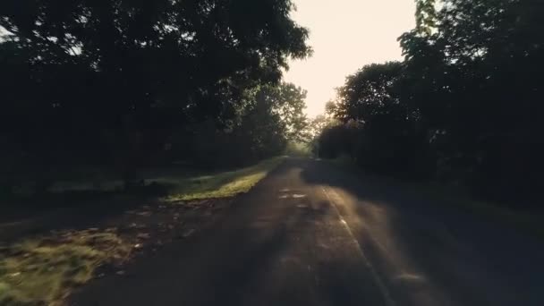 Drone Footage Road Golden Sunrise — Stockvideo