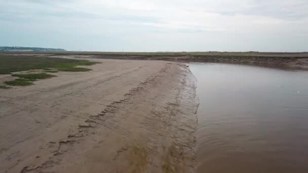 Flyover Seal Colony Seals Lying Mud Bank Seals Swimming Water — Vídeo de Stock