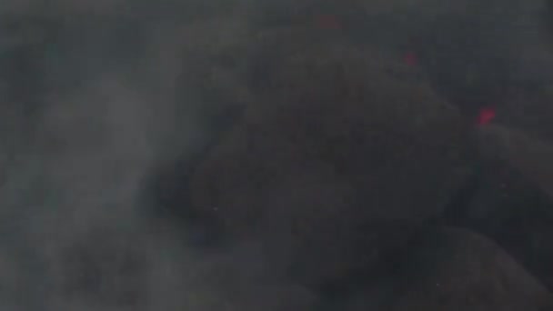 Close Charcoal Bbq Lot Smoke Going All Directions — Video Stock