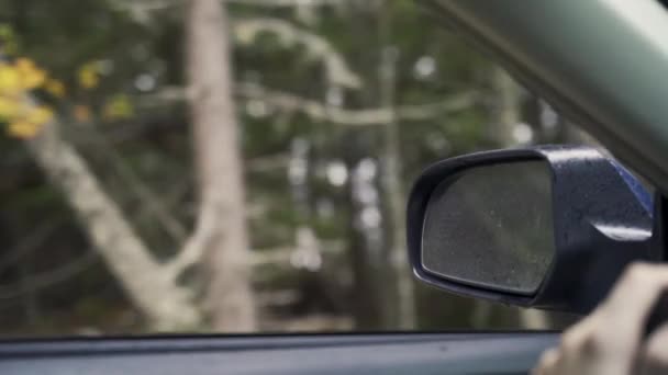 Slow Motion Shot Drivers Window Mirror Facing Large Green Forest — Video Stock