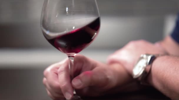 Male Hand Aerating Glass Red Wine — Video