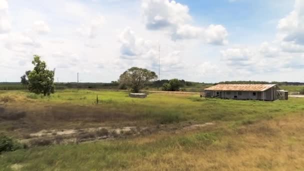 Aerial Shot Sugar Cane Crops Planting Fields — Video
