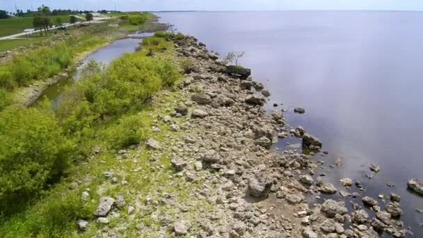 Lake Okeechobee Shore Line Aerial View Pushing — Stok video