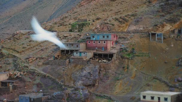 White Birds Fly Moroccan Rural Houses High Atlas Mountains Morocco — Vídeo de Stock