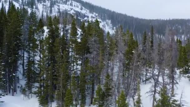 Повітряний Передній Кран Вгору Постріл Сніжної Гори — стокове відео