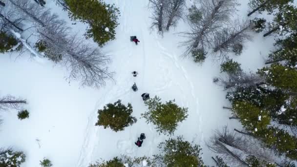 Aerial Tracking Birds Eye View Shot Group People Walking Trees — Video