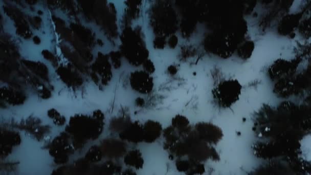 Aerial Forward Pan Shot Snowy Mountains Overlooking Horizon — Vídeos de Stock