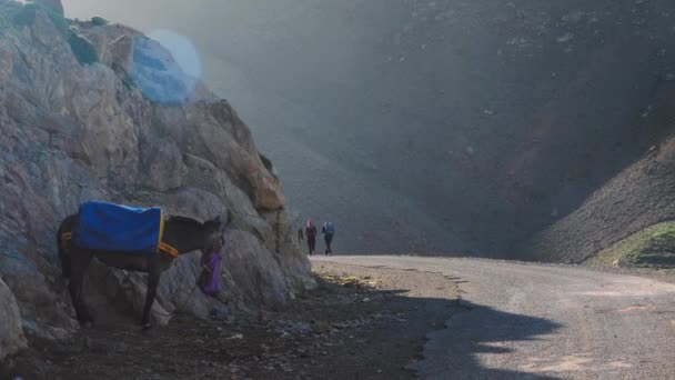 Tourist Backpackers Walking Out Hike High Atlas Mountains Morocco — Stock video