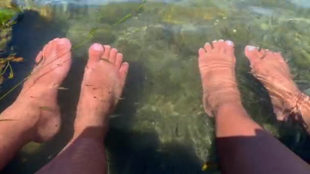 Footage Feet Soak Water Lake Little Black Fish Only Feet — Stockvideo