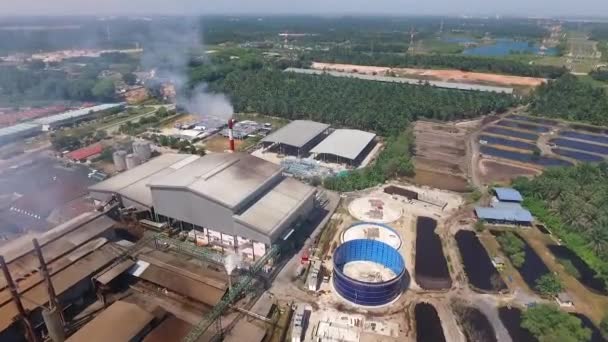 Aerial Malaysia Palm Oil Factory Kilang Kelapa Sawit — Wideo stockowe