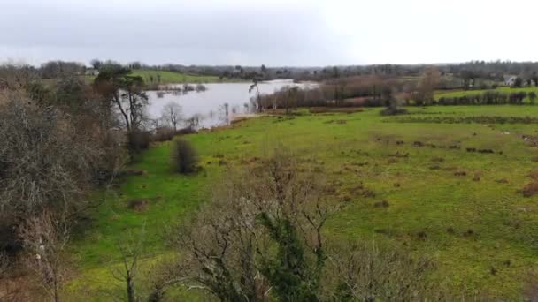 Aerial Green Grass Field Backyard Nearby River Lakeside Downtown Ireland — Stockvideo