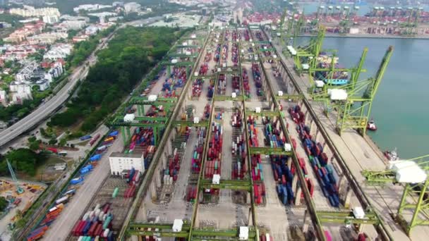 Inggris Aerial Footage Commercial Port Terminal Singapore — Stok Video
