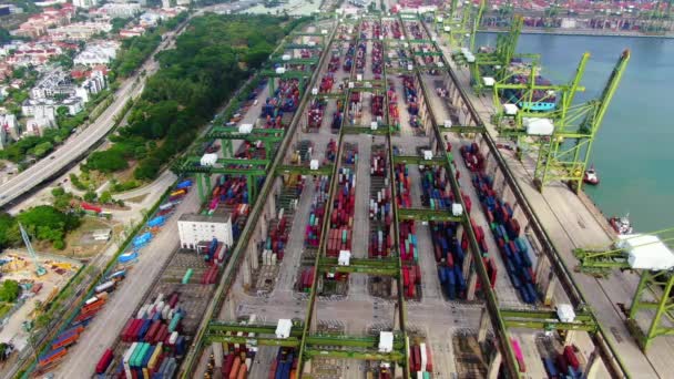 Aerial Footage Commercial Port Terminal Singapore — Stockvideo