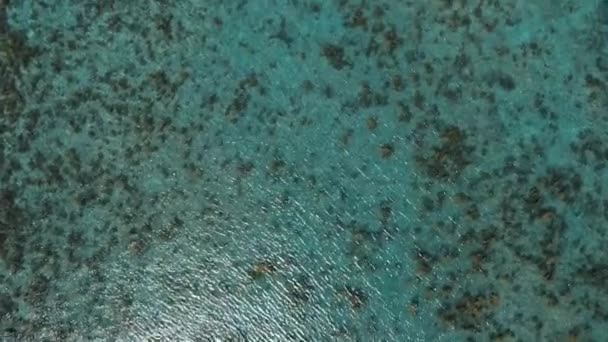 Aerial Blue Water Surface Coral Bay View — Stockvideo