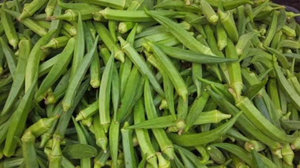 Files Green Okra Ladies Finger Vegetables — 图库视频影像