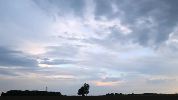 Raw Timelapse Wheat Fields Normandy France Clouds 50Fps — Vídeo de Stock