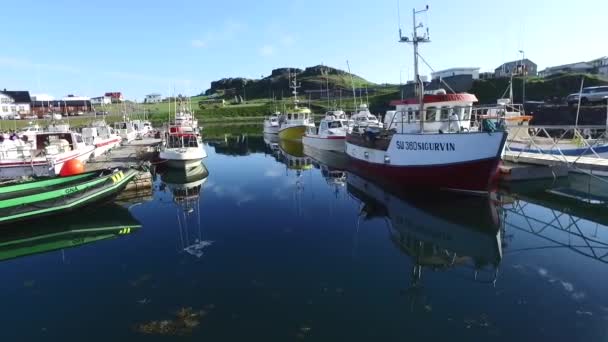 Fishing Village Eastern Iceland — Stock video