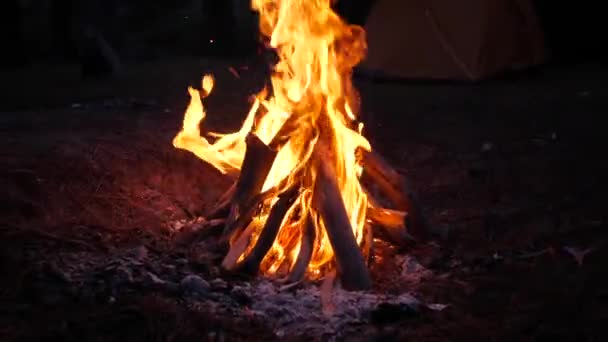 Slow Motion Camp Fire Footage — Vídeo de stock