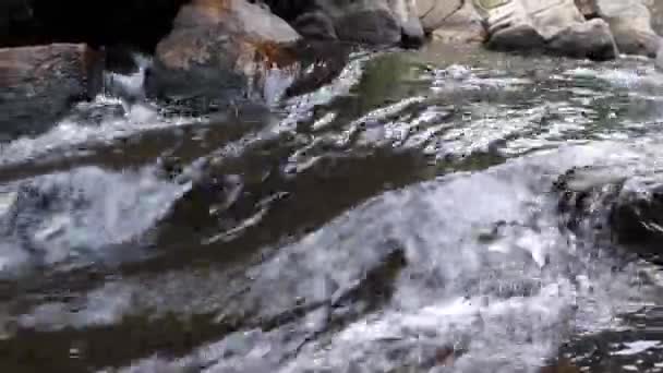 Small Stream Grampians — Stockvideo