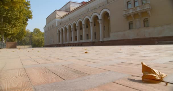 Θέατρο Ναβόι Ουζμπεκιστάν Alisher Navoiy Κρατικό Ακαδημαϊκό Θέατρο Μπολσόι Είναι — Αρχείο Βίντεο