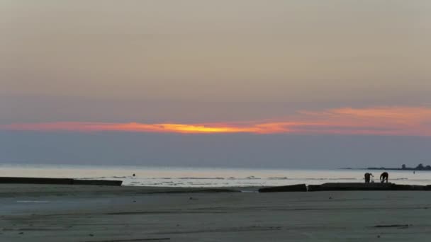 Sunset Timelapse Cloudy Quiet Beach People Backlight Santa Ana Beach — ストック動画