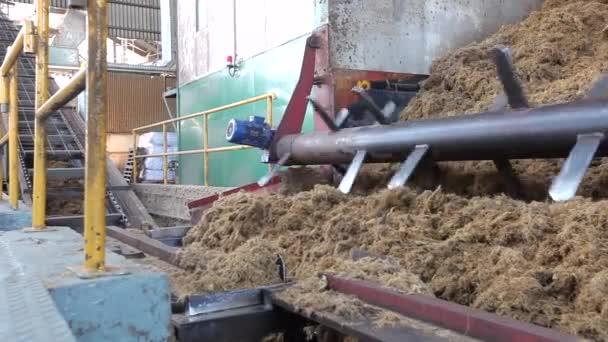 Produksi Mesin Pengolahan Dan Produksi Kelapa Sawit Sebuah Pabrik Besar — Stok Video