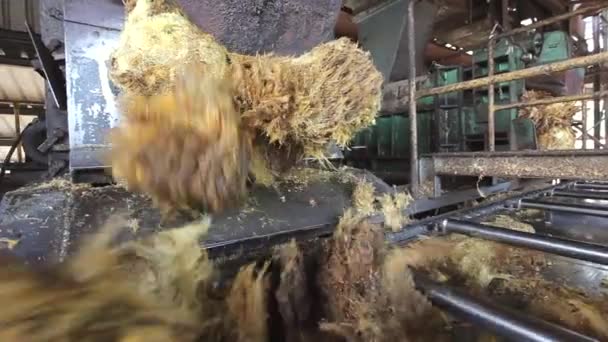 Production Machine Working Producing Palm Oil Huge Factory Malaysia Kilang — Stock video