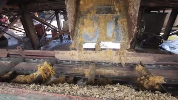 Production Machine Working Producing Palm Oil Huge Factory Malaysia Kilang — Wideo stockowe