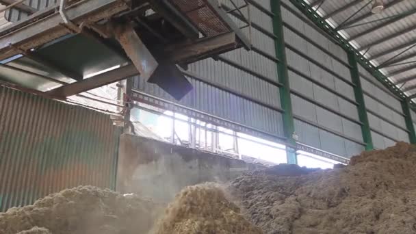 Mesin Produksi Yang Bekerja Dan Memproduksi Minyak Sawit Sebuah Pabrik — Stok Video