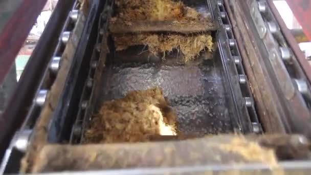Mesin Produksi Yang Bekerja Dan Memproduksi Minyak Sawit Sebuah Pabrik — Stok Video